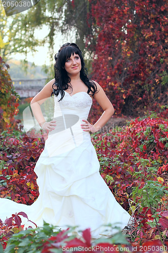 Image of Girl in a weeding dress in a park