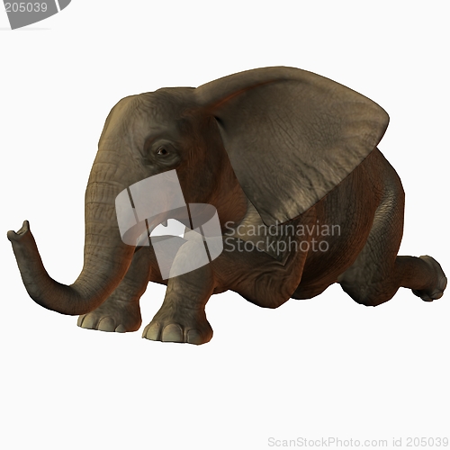 Image of Baby Elephant