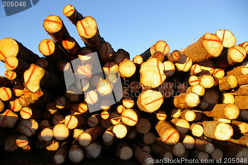 Image of Lumber