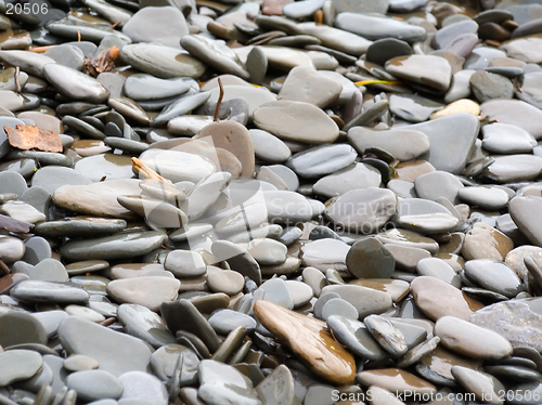 Image of Smooth beach stones