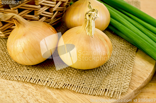Image of Onions yellow and green