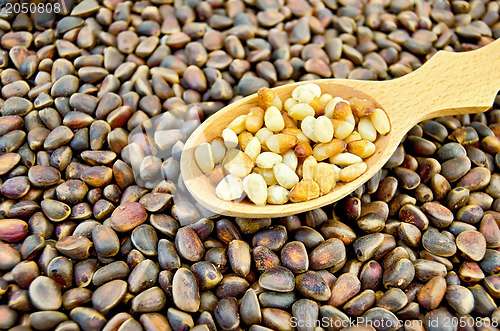 Image of Cedar nuts in a spoon against