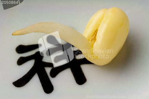 Image of soybean sprout