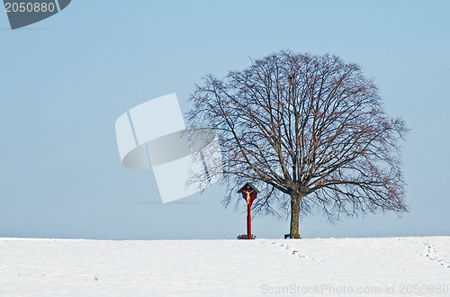 Image of lime tree with snow and cross