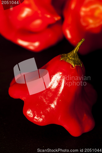 Image of chili bishops crown