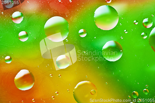 Image of oil-drops floating  in water