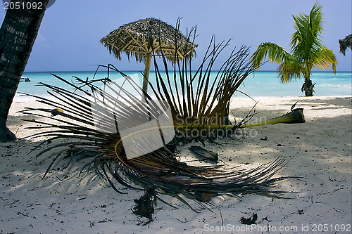 Image of republica dominicana  beach 