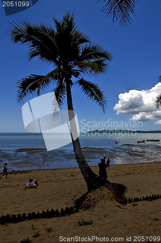 Image of  boat palm and coastline