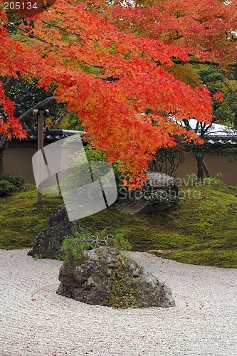 Image of Autumn Japanese garden