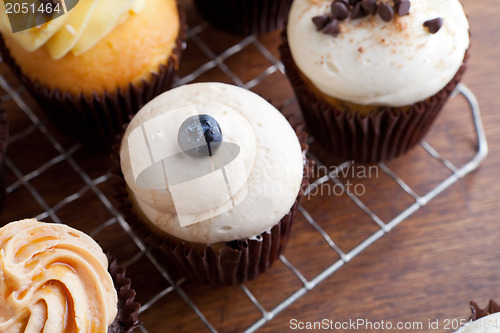 Image of Gourmet Cupcakes Frosted