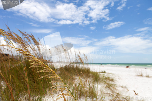 Image of Siesta Key Beach Sarasota Florida