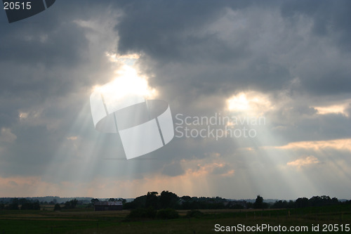 Image of Sunrays