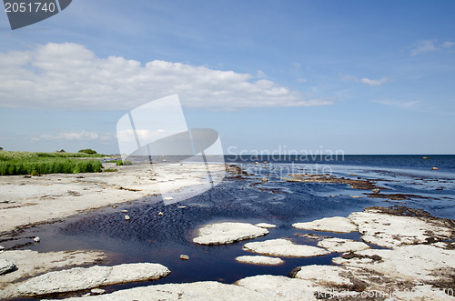 Image of Flat rock coast