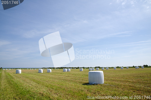 Image of Plastic bales