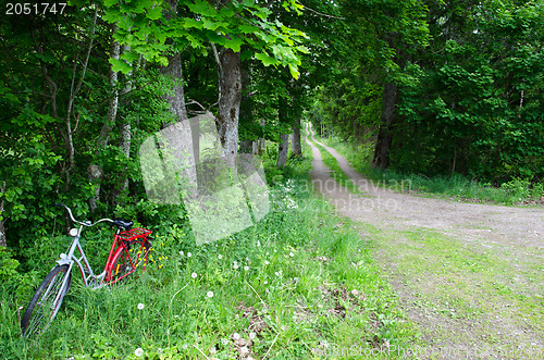 Image of Parked bicycle