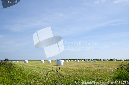Image of Field of plastic bales