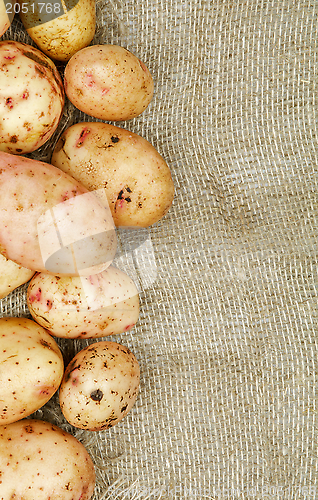 Image of Frame of Raw Potato