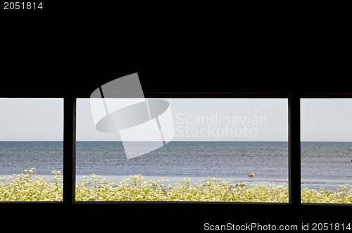 Image of Window scene