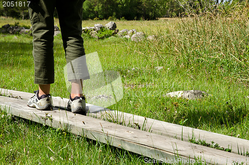 Image of wooden footpath