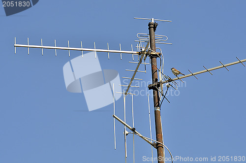 Image of TV Antenna
