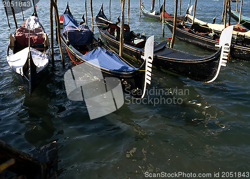 Image of Gondolas, Venice, Italy