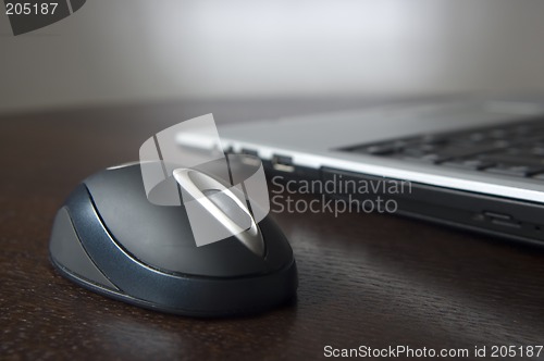 Image of mouse