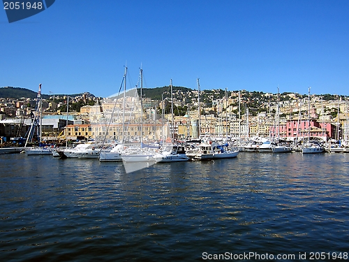 Image of Harbor