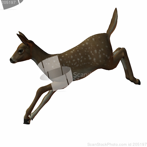 Image of Fawn