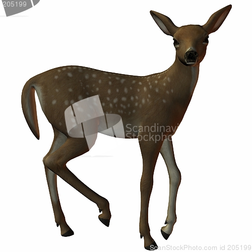 Image of Fawn