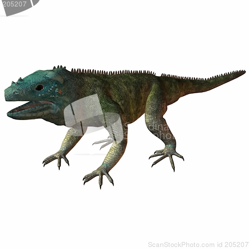 Image of Iguana Blue