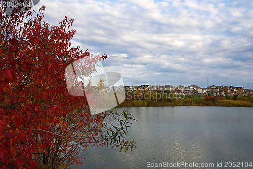 Image of Colorful autumn trees in a suburb area