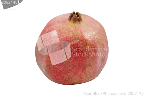 Image of Pomegranate