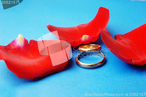 Image of Wedding rings and rose petals