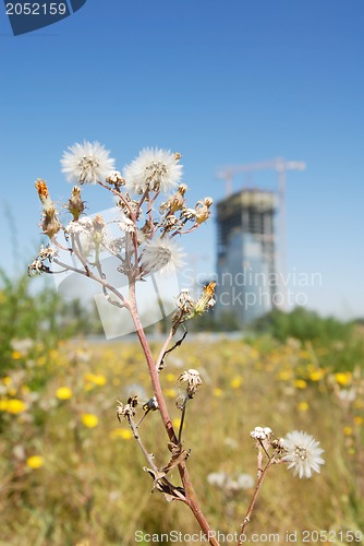 Image of Plant and building