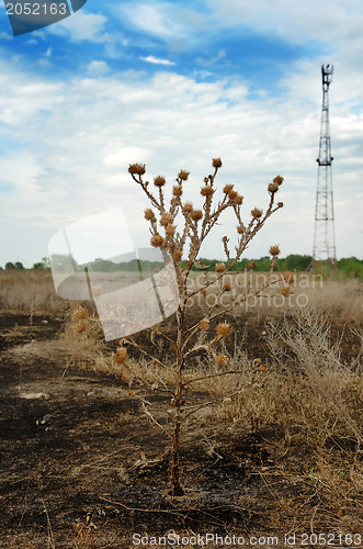 Image of Communication between nature and technology