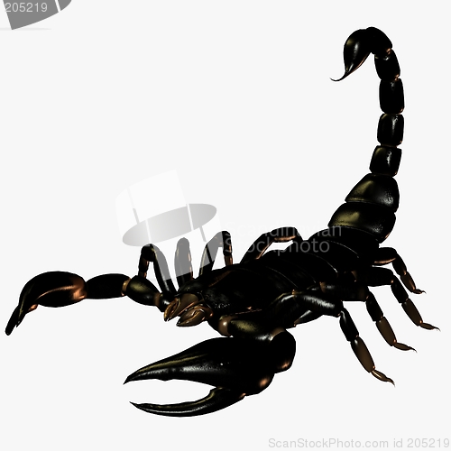 Image of Scorpion