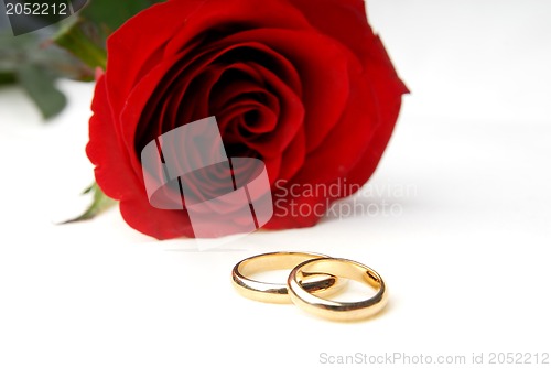 Image of One rose and two wedding rings