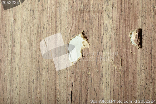 Image of Torn wooden wallpaper