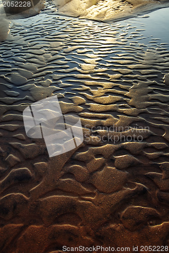 Image of Golden beauty of the beach