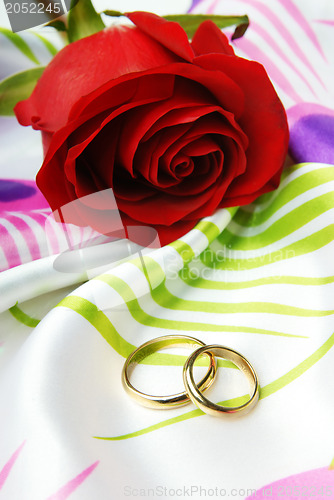 Image of Red rose and golden rings