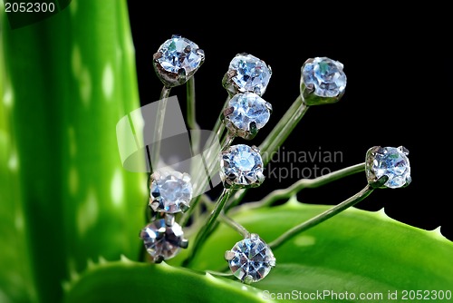Image of Diamonds on greenery