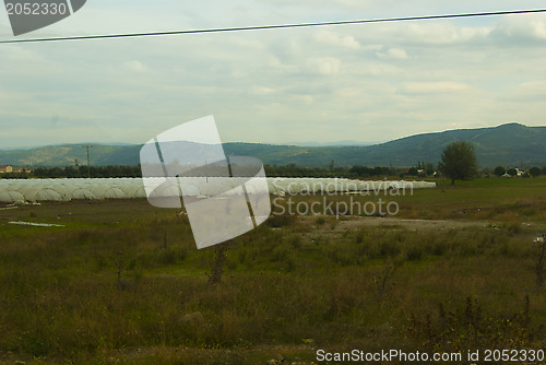 Image of Low film greenhouse