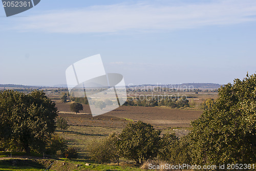 Image of Autumn fields