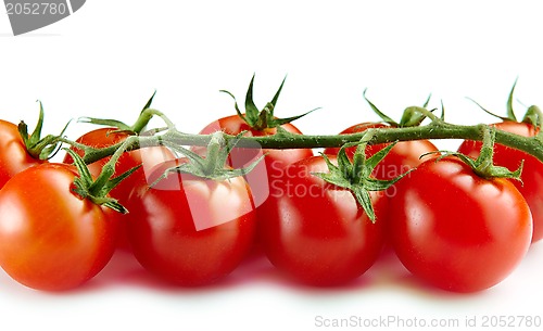 Image of fresh tomatoes