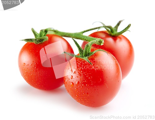 Image of fresh tomatoes