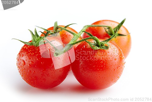Image of fresh tomatoes