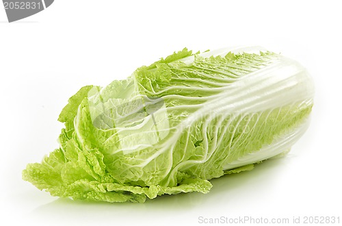 Image of fresh lettuce head on white background