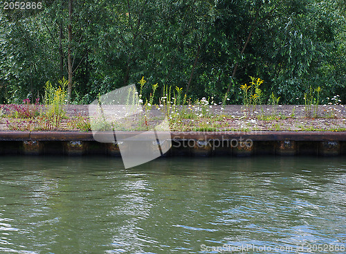 Image of Flowers lining a concrete riverbank