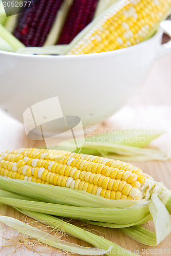Image of Fresh corn