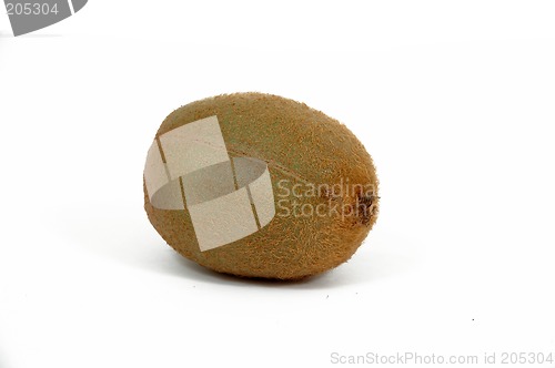 Image of Kiwi on white background